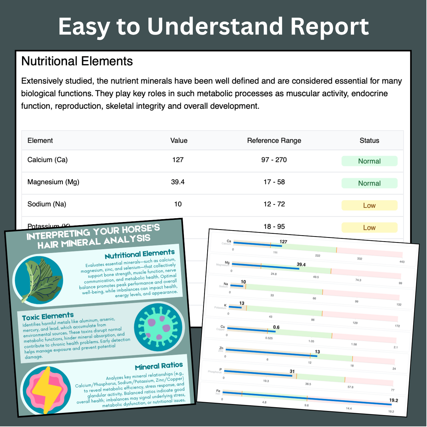 Hair & Mineral Analysis Test Kit
