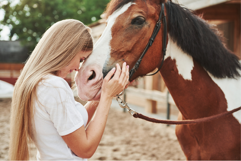 Understanding Aluminum Toxicity in Horses: Causes, Symptoms, and Prevention