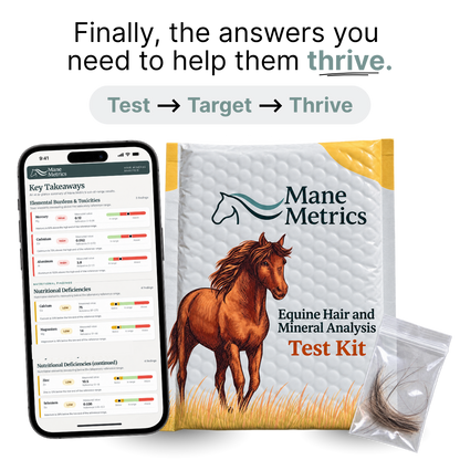 Hair Mineral Analysis Test Kit