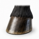 Hoof Strength