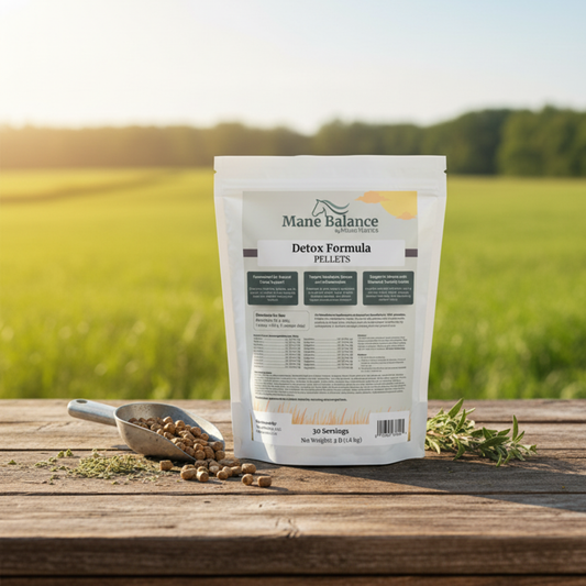 Mane Balance Detox Formula