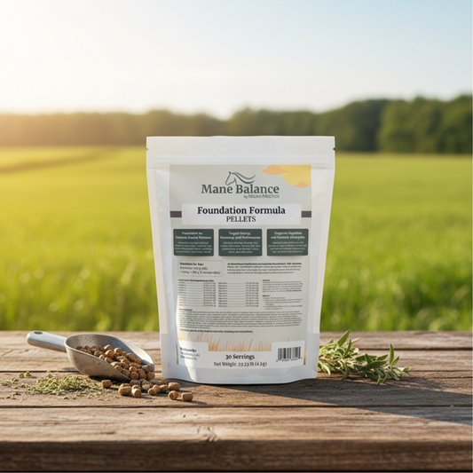 Mane Balance Foundation Formula