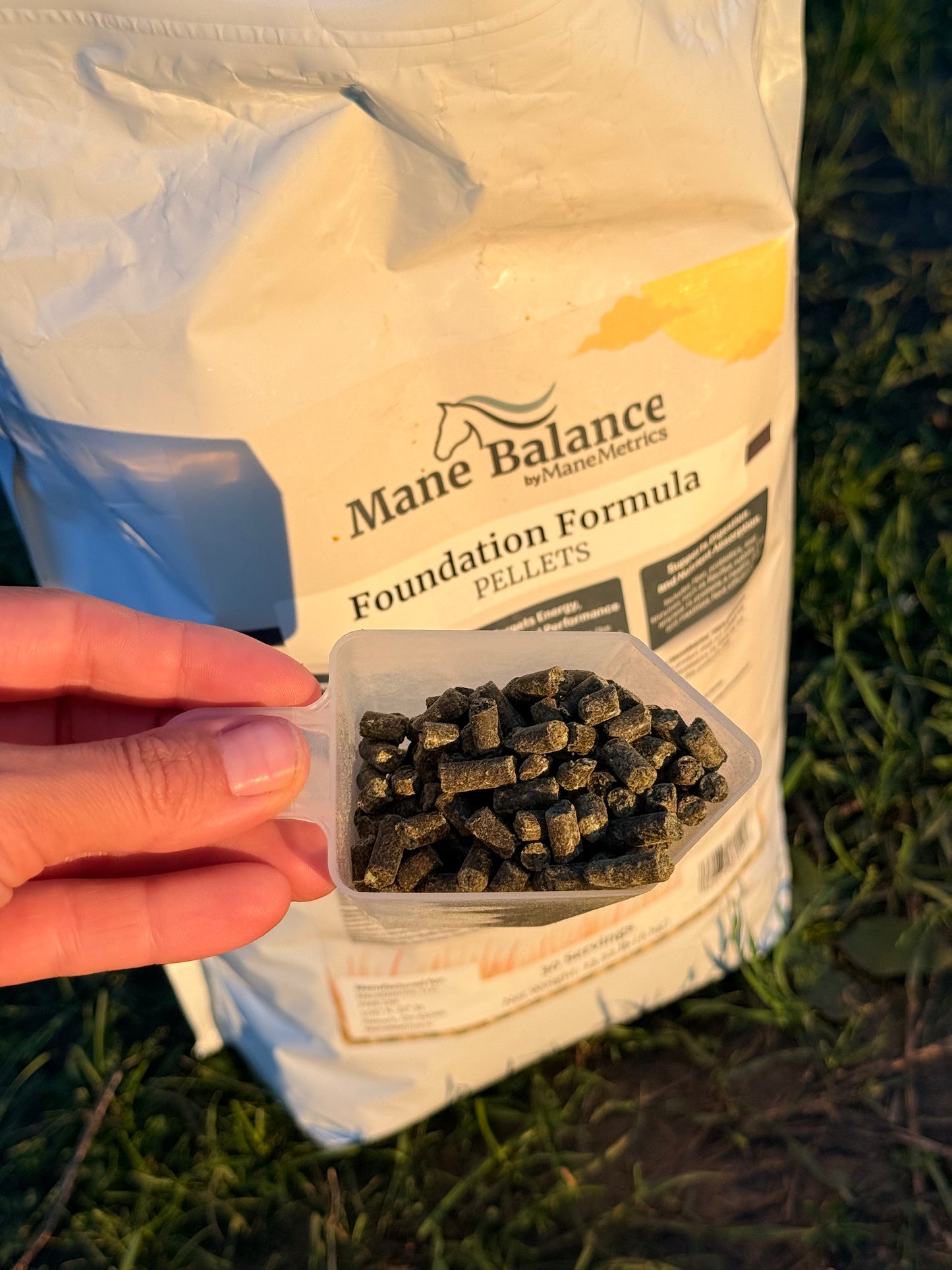Mane Balance Foundation Formula