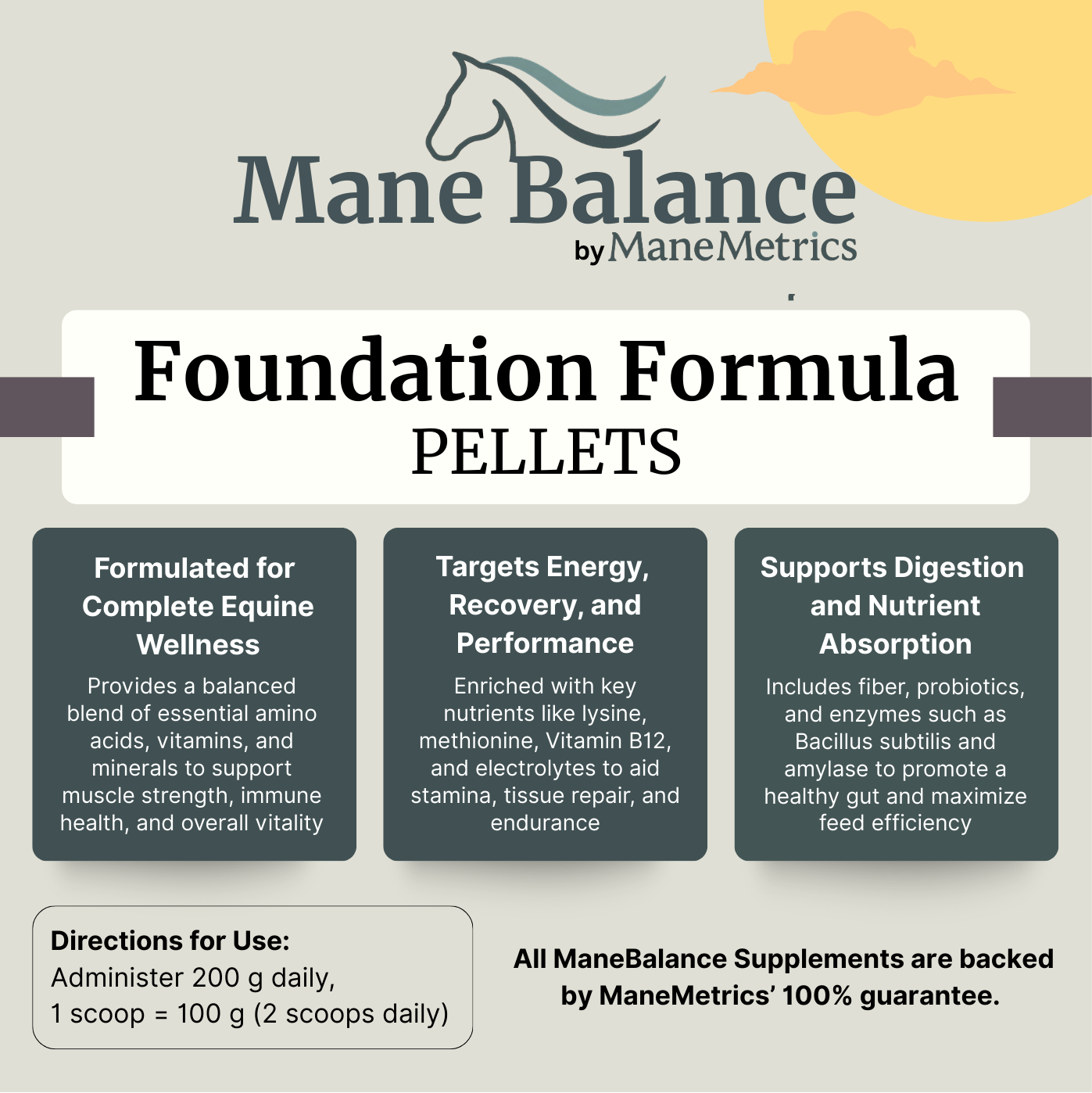 Mane Balance Foundation Formula