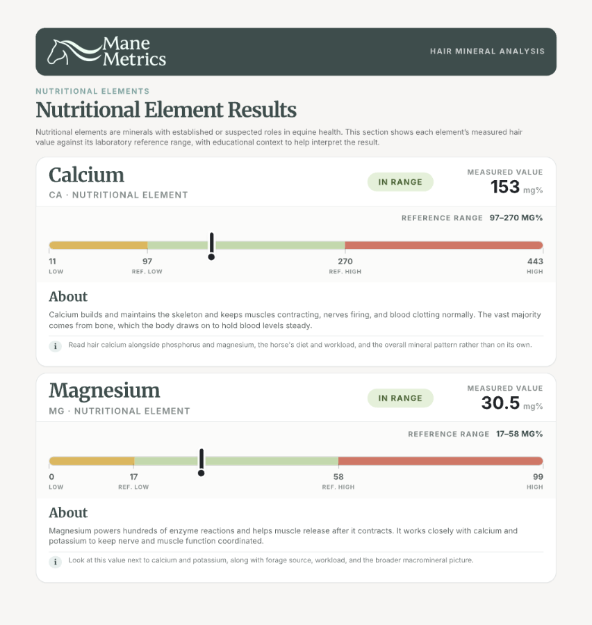 Hair Mineral Analysis Test Kit