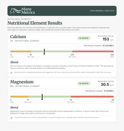 Hair Mineral Analysis Test Kit