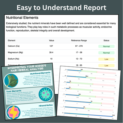 Hair & Mineral Analysis Test Kit
