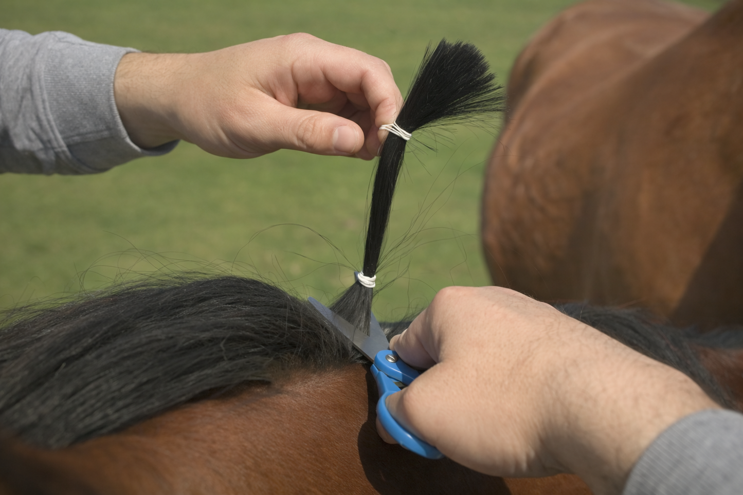 Hair & Mineral Analysis Test Kit