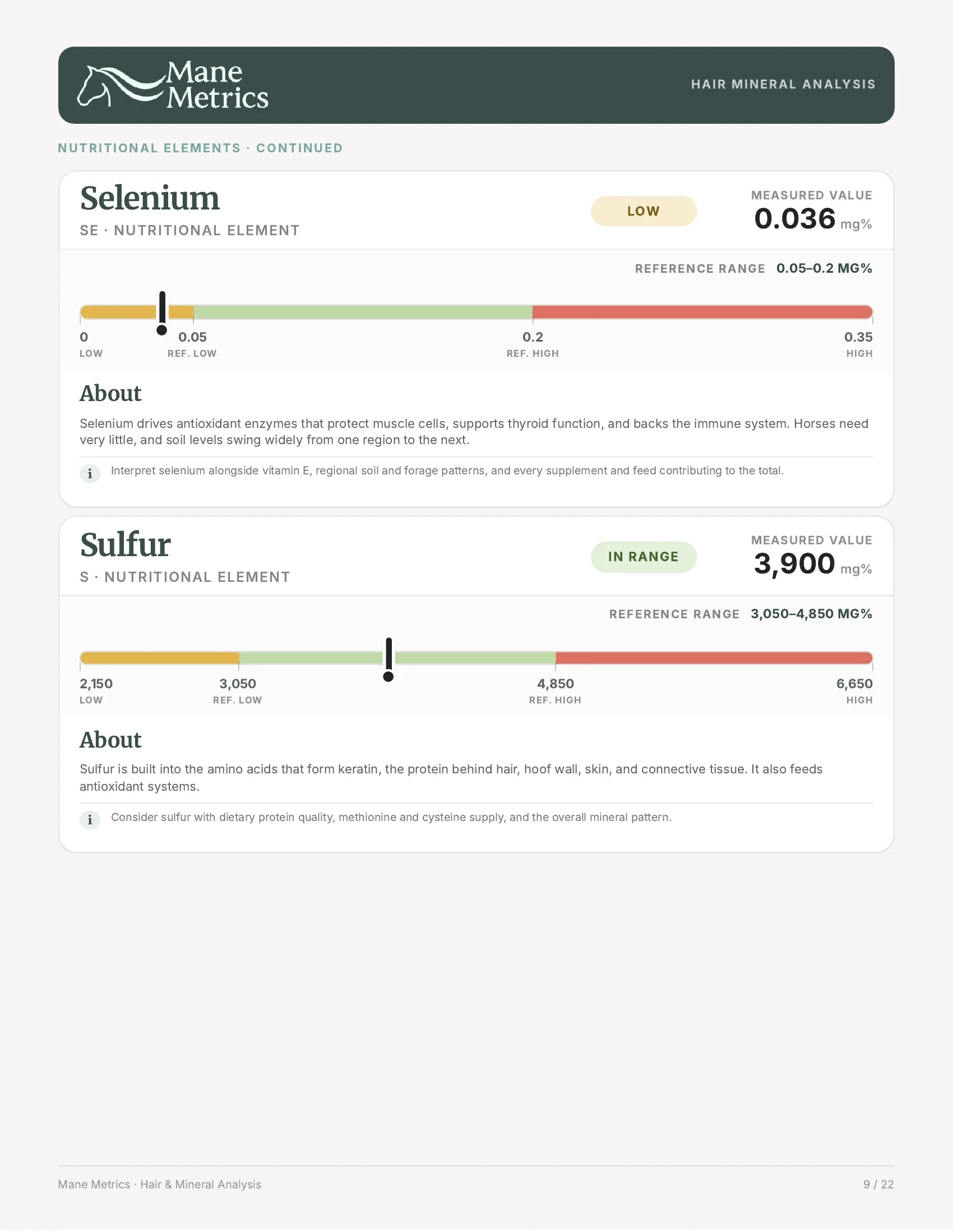 Sample mineral report page 10