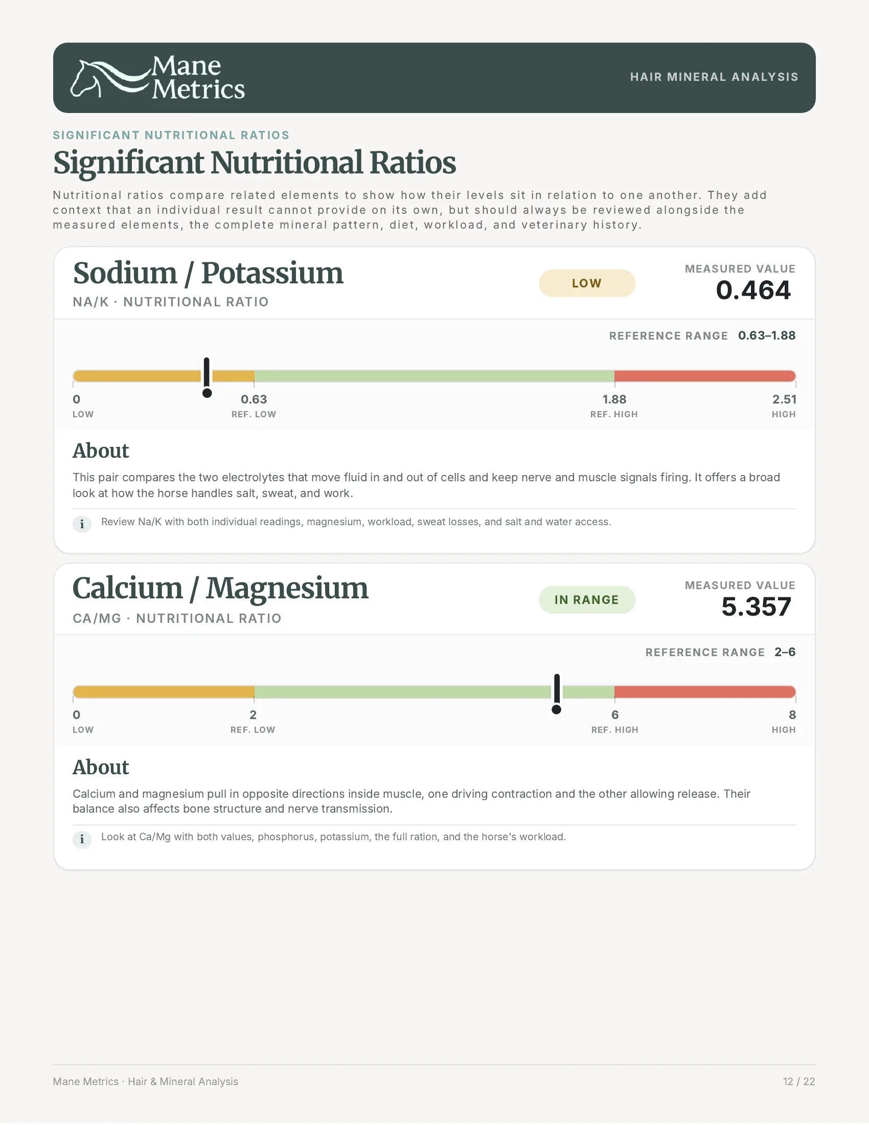 Sample mineral report page 13