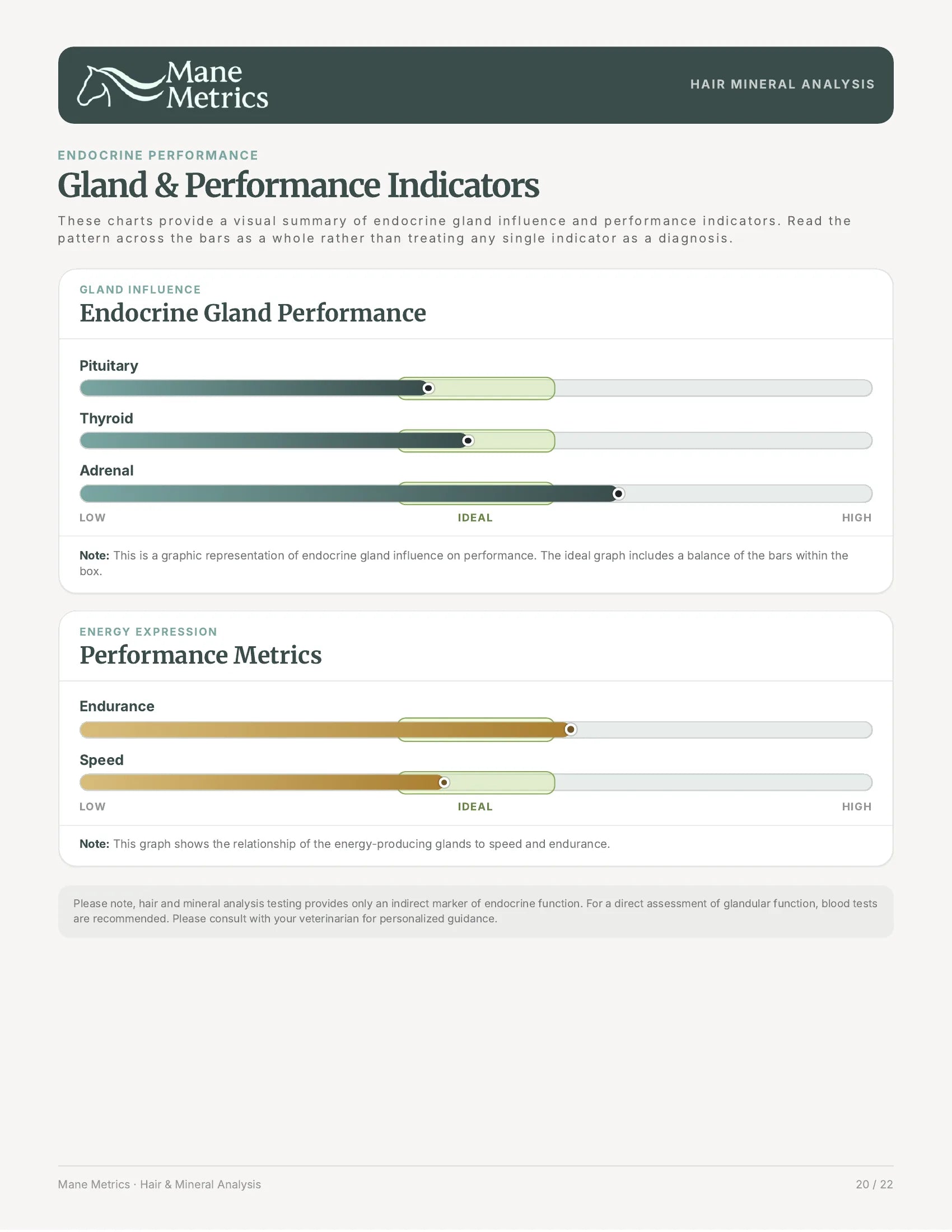 Sample mineral report page 21